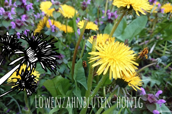 Löwenzahnblütenhonig Rezept - Grafikdesign-Fotografie-Food-Blog